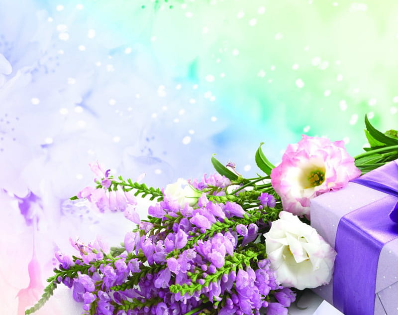 Beautiful flowers, art, box, flowers, purple, HD wallpaper