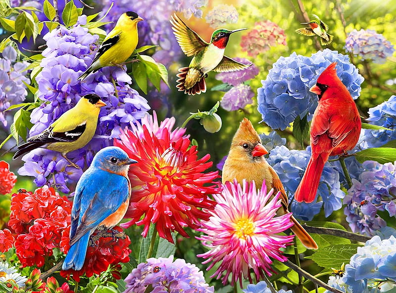 Spring Meeting, large, song, vibrant, colors, flowers, birds, bright, HD wallpaper