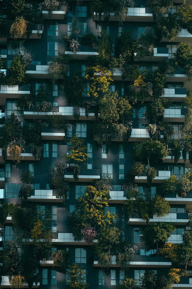 plants, building, facade, HD phone wallpaper