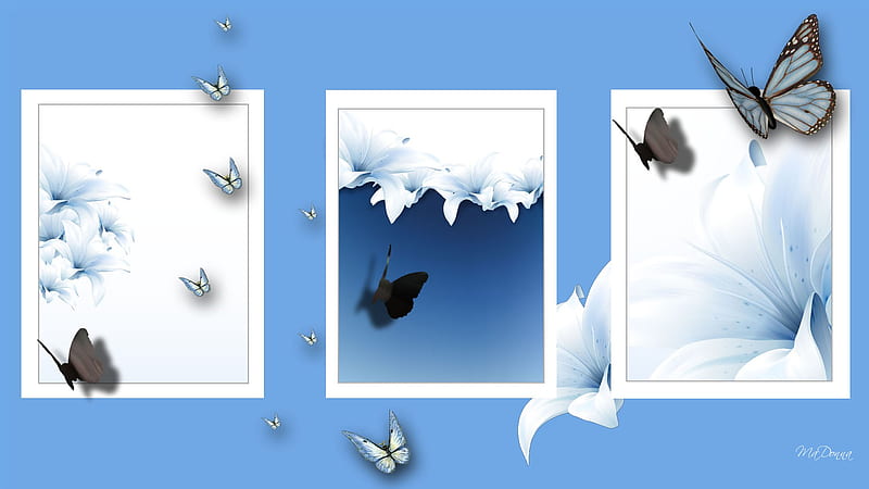 Lilies and Butterflies, shadow, scattered, bonito, butterflies, collage, modern, lily, simple, blue, HD wallpaper