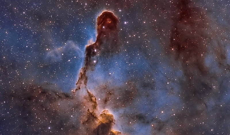 The Elephant's Trunk Nebula in Cepheus, galaxies, space, stars, planets, cool, fun, HD wallpaper