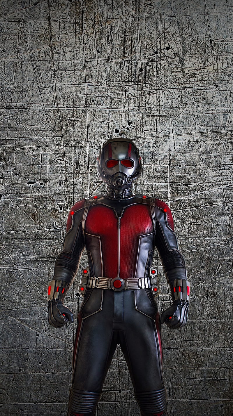 Ant-Man, antman, avengers, marvel, HD phone wallpaper