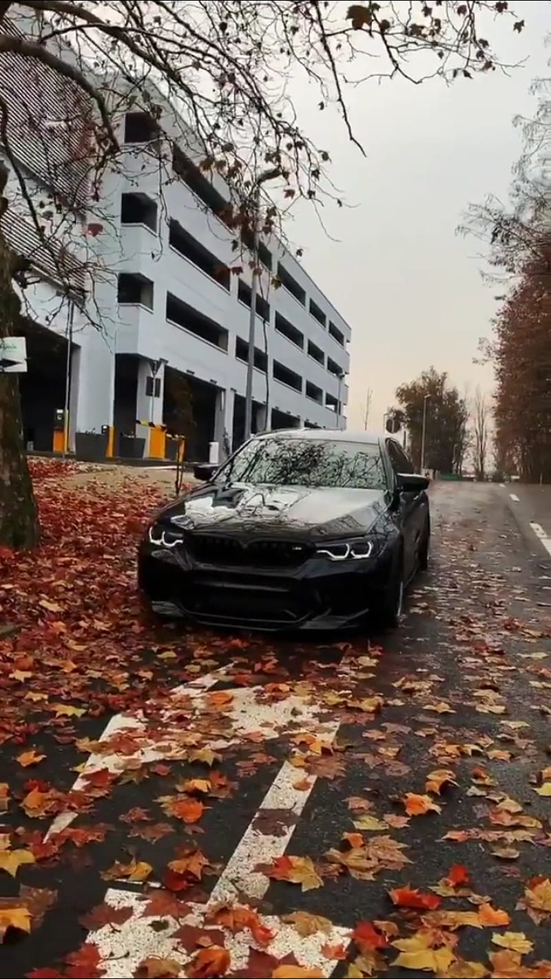 BMW M5, f90, sedan, black, road, street, autumn, car, vehicle, HD phone wallpaper