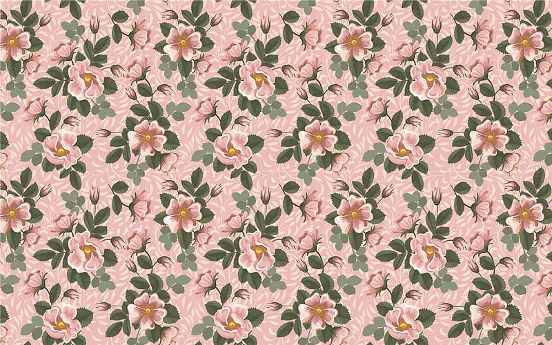 Wild Rose Pattern, pattern, pink, wild rose, vector, HD wallpaper