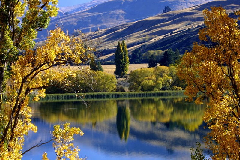 Lake Hayes, New Zealand, autumn, leaves, water, mountains, colors, trees, landscape, HD wallpaper