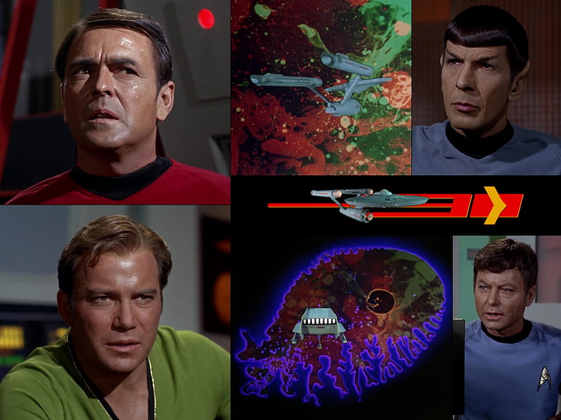 The Immunity Syndrome, Kirk, Amoeba, Star Trek, Spock, HD wallpaper