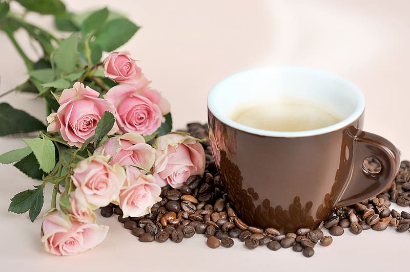 Food, Coffee, Still Life, Rose, Cup, Bouquet, Coffee Beans, Pink Flower, HD wallpaper