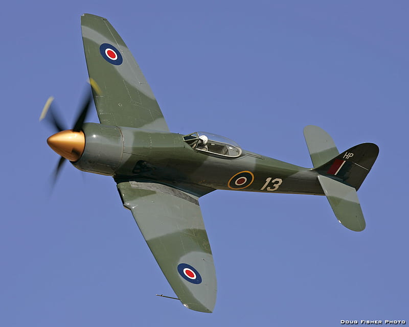 Hawker Fury, world, guerra, british, ww2, hawker, fury, airplane, plane, antique, english, wwii, classic, HD wallpaper