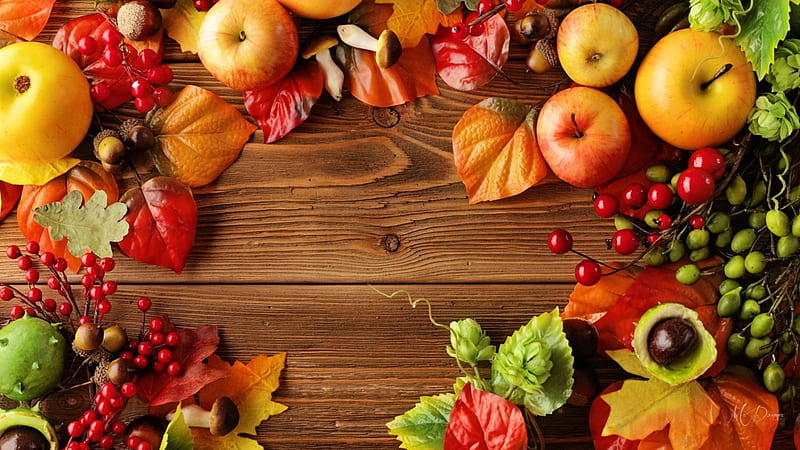 Harvest Time II, fall, autumn, harvest, planking, apples, leaves, Thanksgiving, berries, mushrooms, chesnuts, Firefox Persona theme, wood, HD wallpaper