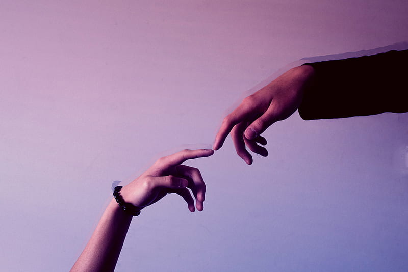 hands, fingers, touch, lilac, HD wallpaper