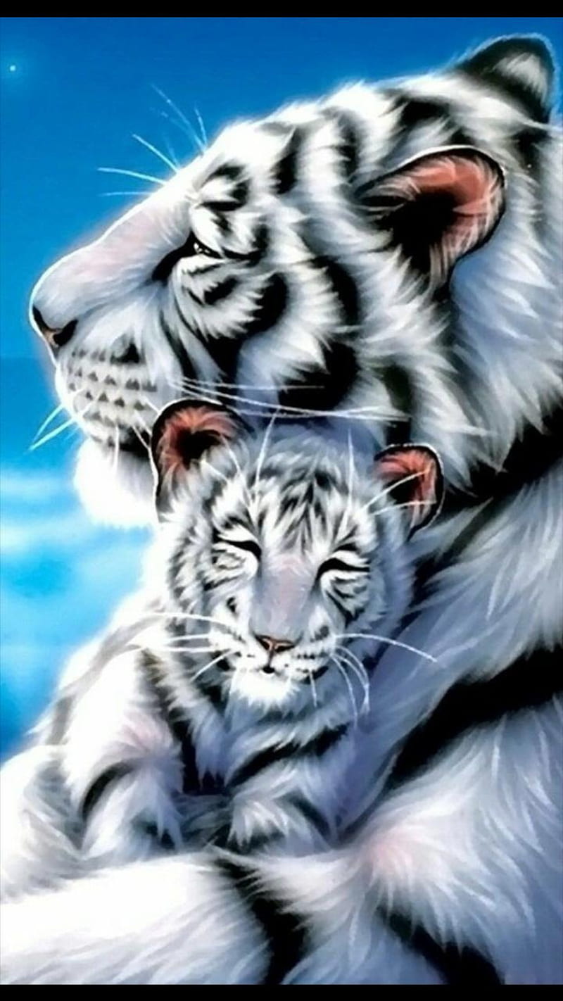 Lion and Tiger Wallpaper HD 4k for Android - Download