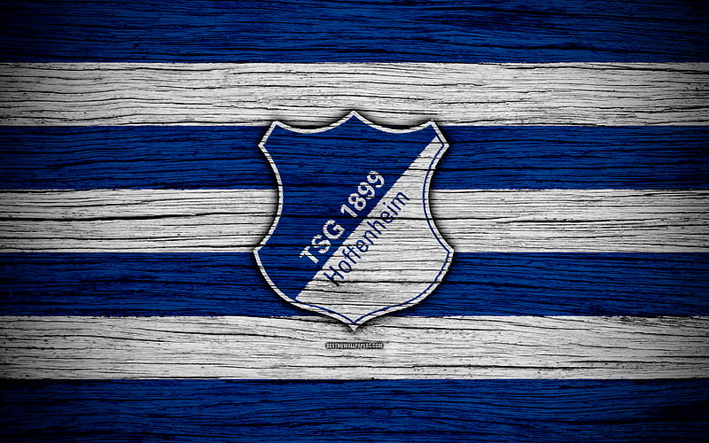 Hoffenheim Bundesliga, logo, Germany, wooden texture, FC Hoffenheim, soccer, football, Hoffenheim FC, HD wallpaper