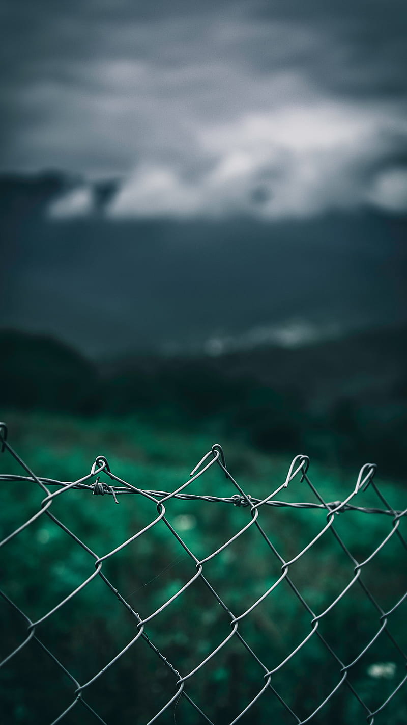 Nature, blurry, bokeh, fence, focus, mesh, graphy, HD phone wallpaper