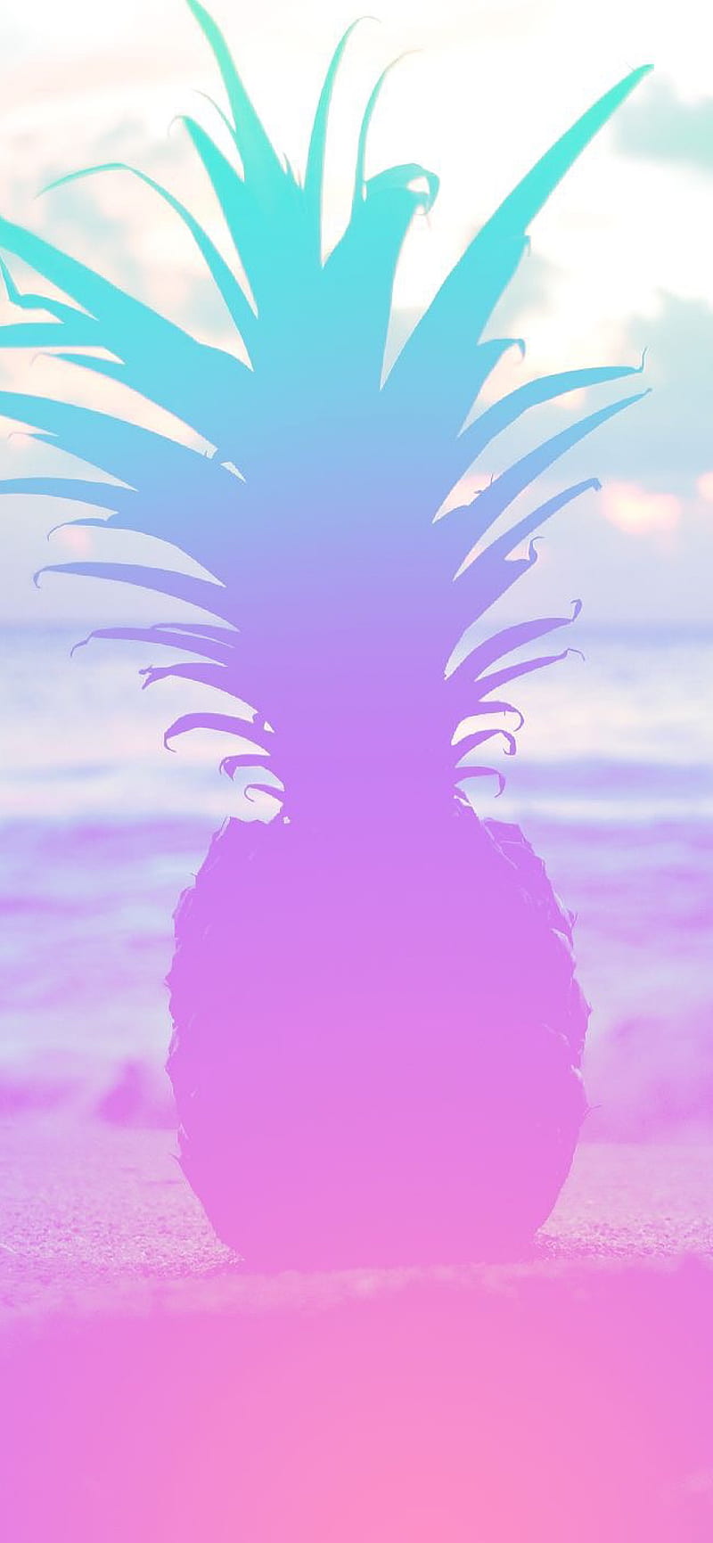Download Enjoy a pastel summer with the sunkissed beach Wallpaper   Wallpaperscom