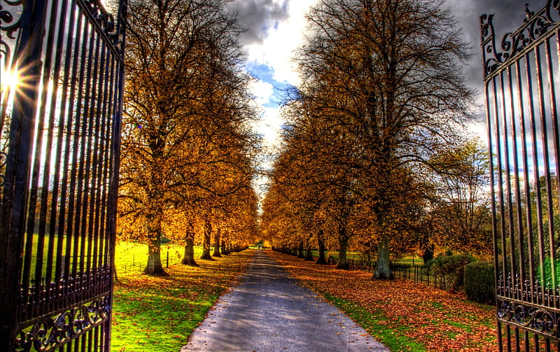Autumn Colors, autumn, grass, autumn leaves, bonito, clouds, door, leaves, splendor, pathway, green, path, autumn splendor, beauty, road, gate, lovely, view, colors, park, sky, trees, tree, peaceful, carpet of leaves, nature, alley, HD wallpaper