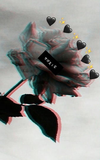 Black Aesthetic, aesthetic, blacm, rose, toxic, HD phone wallpaper | Peakpx