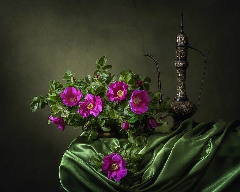 Still life with wild roses, still life, daykiney, green, vase, pink, wild rose, HD wallpaper