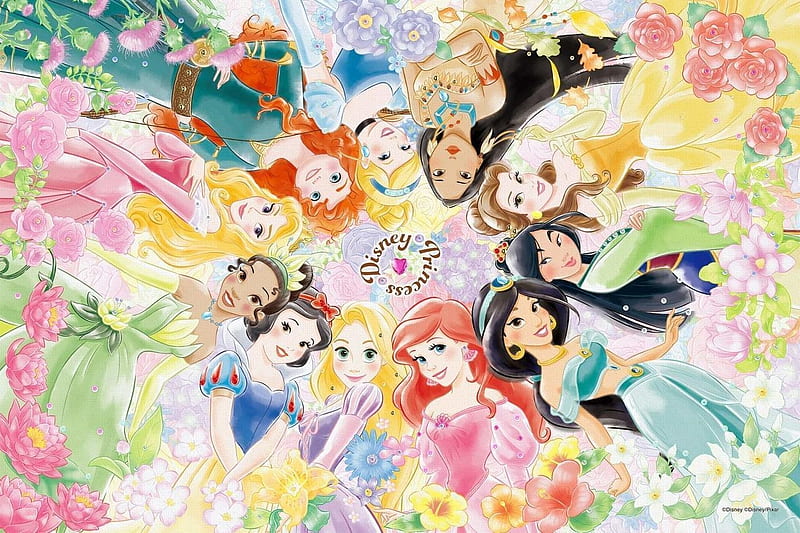 Disney Princesses Art Frozen Elsa Cinderella Snow White Ariel Rapunzel etc