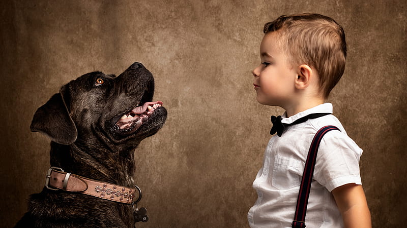 Small Boy With White Shirt Is Standing Near Black Dog Cute, HD wallpaper
