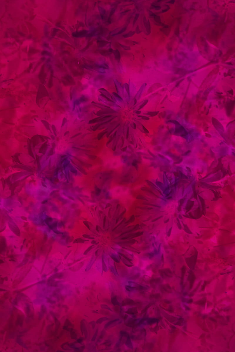 pattern, flowers, pink, HD phone wallpaper