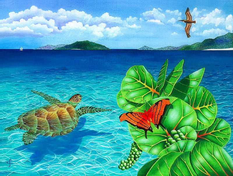 Good Day Sunshine, oceans, attractions in dreams, bonito, paintings, butterfly, green, blue, underwater, lovely, colors, love four seasons, turtle, paradise, bird, summer, nature, tropical, HD wallpaper