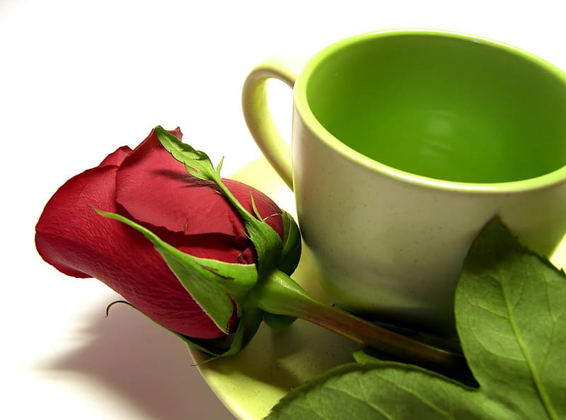 Waiting for You..., red rose, green, cup of coffee, romantic, fresh, waiting, gesture, HD wallpaper