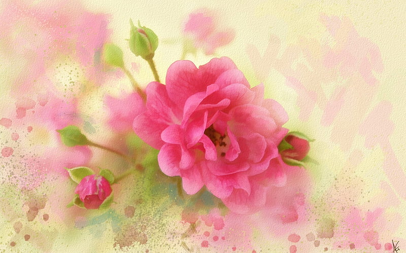 Rose, art, green, flower, pink, imitation, watercolor, HD wallpaper ...
