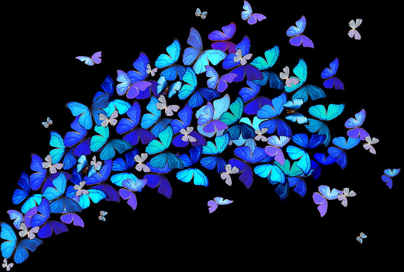 HOME PAGE COLLAGES, collage, butterflies, purple, blue, HD wallpaper HOME PAGE COLLAGES, collage, butterflies, purple, blue, HD wallpaper