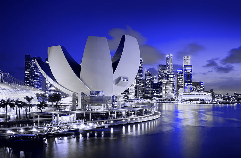 ArtScience Museum, Marina Bay, Singapore Ultra, City, Blue, Night, Light, Building, Asia, Water, Architecture, Museum, Urban, Skyscrapers, Singapore, scape, architect, marinabay, HD wallpaper