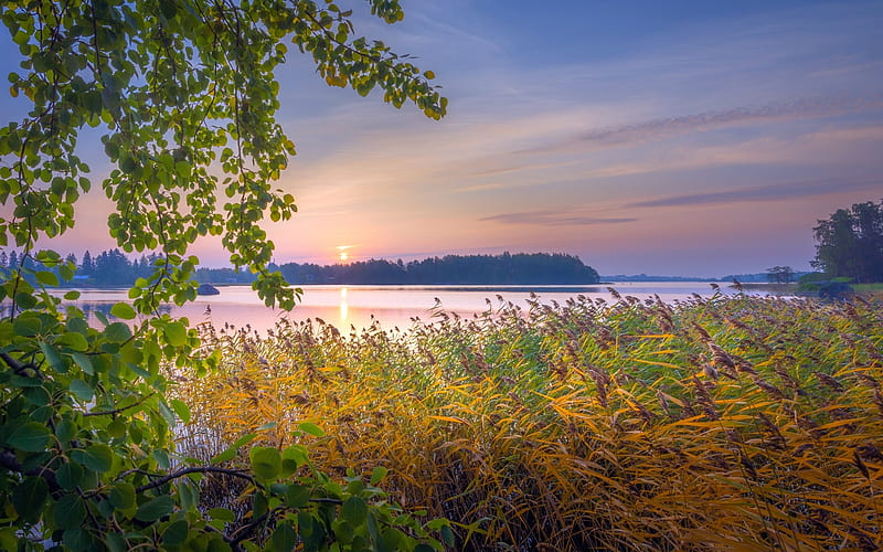 Sunset Over Lake Autumn Reeds Sunset Lake Hd Wallpaper Peakpx