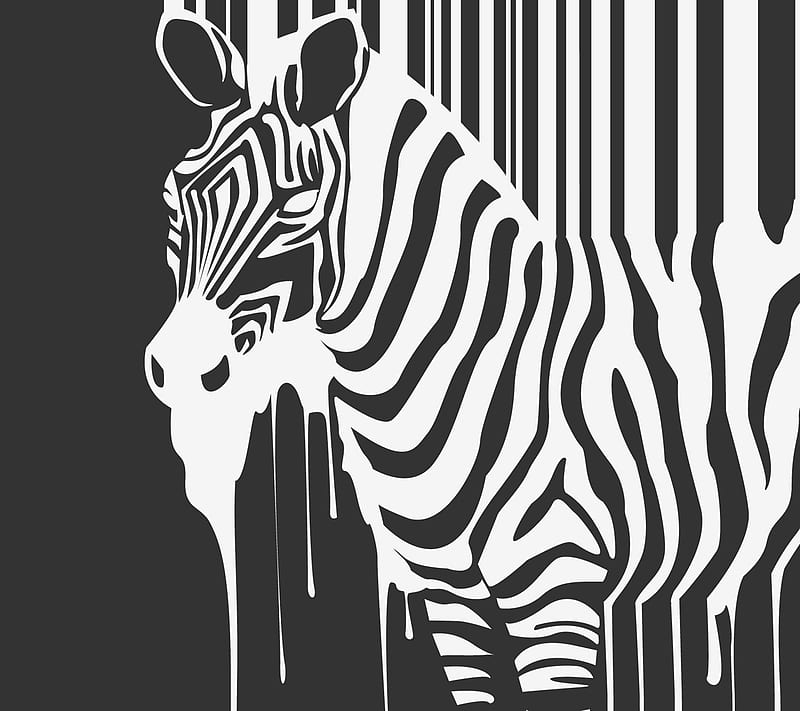 Melting Zebra, abstract, animals, gray, white, HD wallpaper