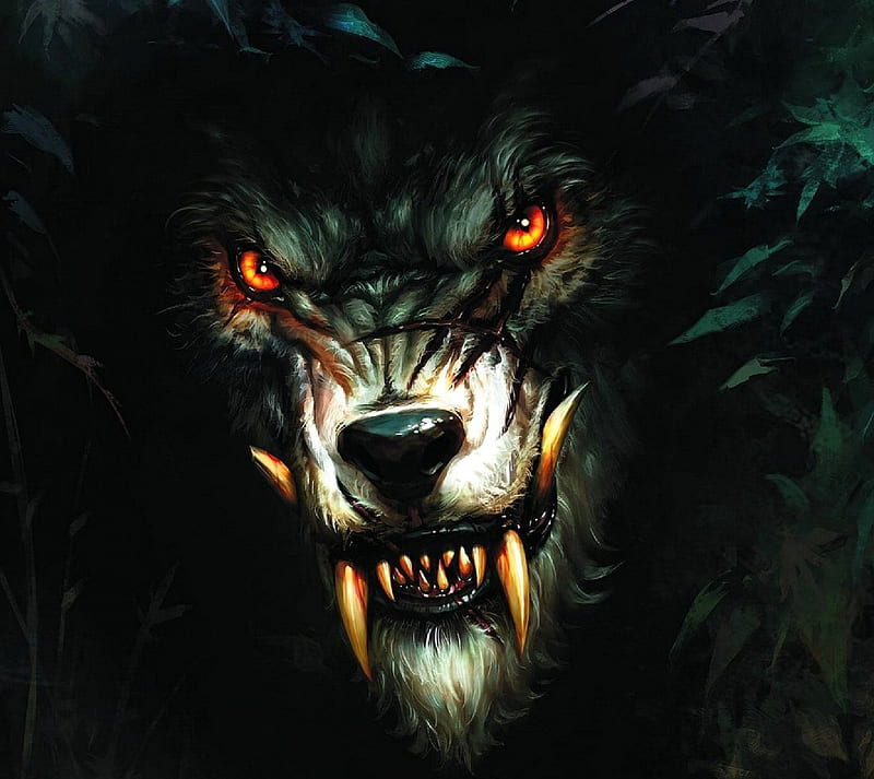 Wolf Art, dark wolf, HD wallpaper