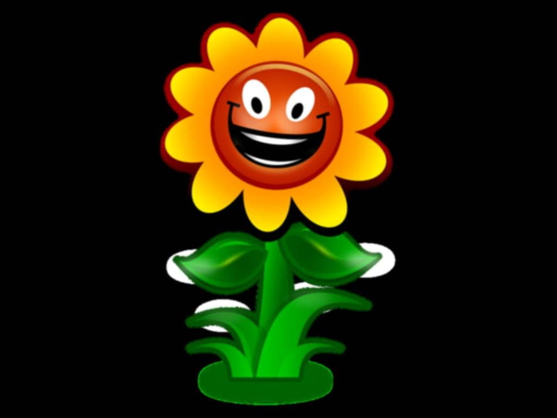 Funny Sunflower, Cute, Smilie, Funny, Animated, Sunflower, HD wallpaper