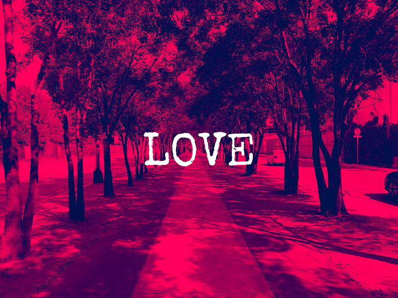  LOVE -, love, fondo chidos, , fondos rojos, lovered, HD wallpaper