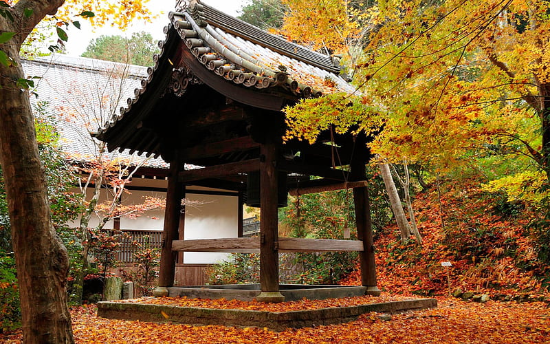 Red leaves in the kiosk-Enkoji Temple Autumn, HD wallpaper