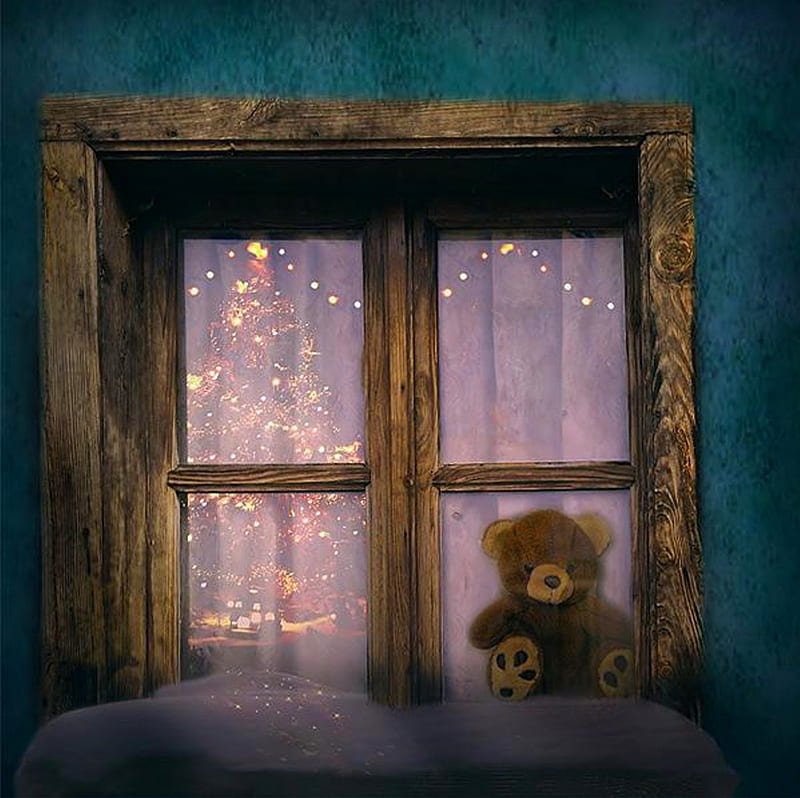 Christmas in window, stars, pretty, christmas tree, lovely, christmas, december, teddy, children, colors, bear, bonito, tree, splendor, season, wishes, night, HD wallpaper