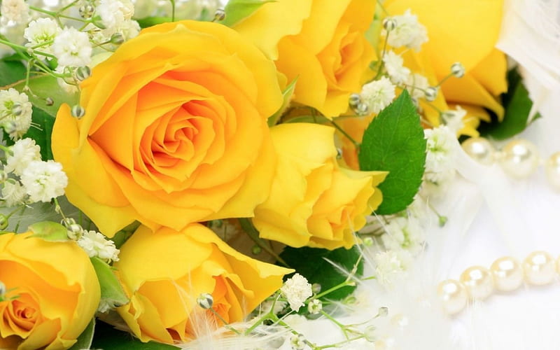 Yellow roses, green, bouquet, flower, summer, yellow, pearls, white, HD wallpaper