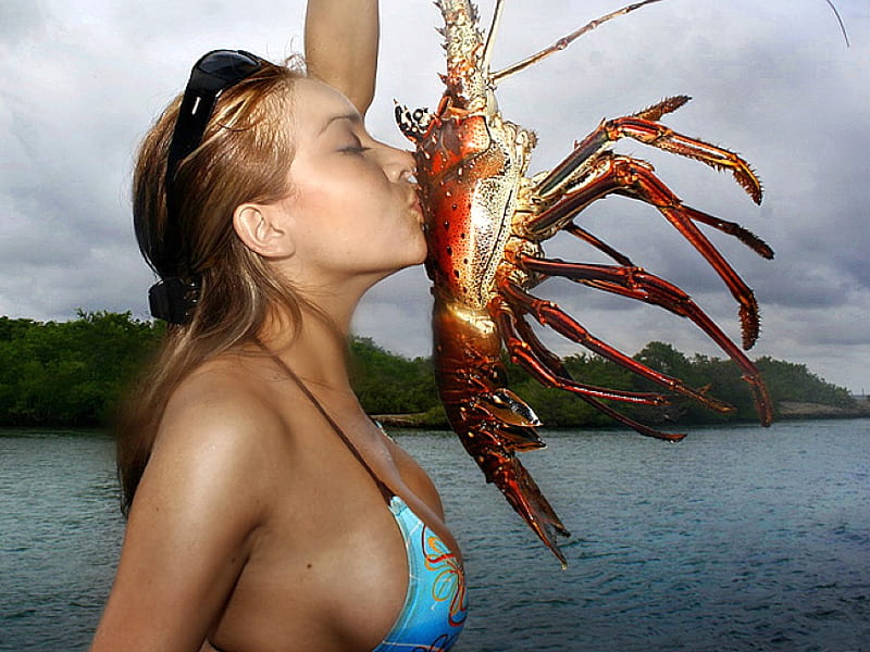 I-Love-Lobsters, cute, girl, love, lobsters, bonito, HD wallpaper