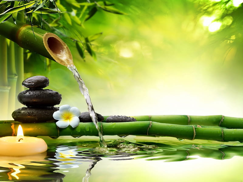 Spa still life, candle, relax, bonito, bamboo, still life, leaves, stones, calm, water, green, spa, flower, reflection, HD wallpaper