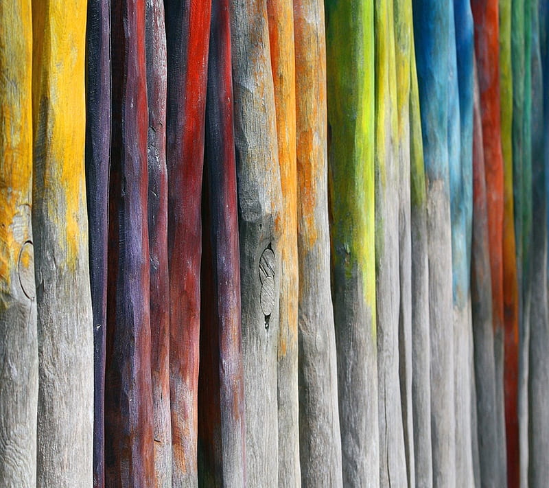Colourful Wood, abstract, art, colour, design new, nice, HD wallpaper |  Peakpx