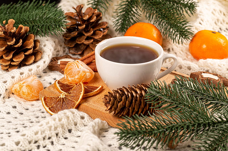 cup, tea, cones, branches, tangerines, HD wallpaper