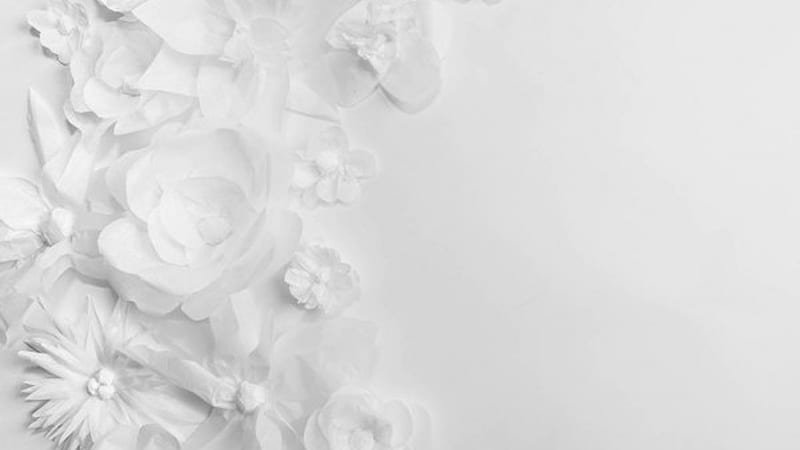 White Paper Flowers In White Background White Background, HD wallpaper |  Peakpx