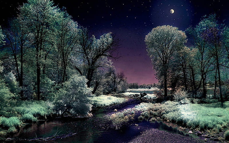 Moonlight Sonata, Water, Forest, Moon, Nature, HD wallpaper | Peakpx
