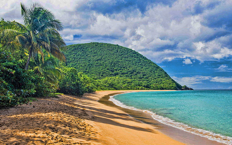 tropical island, Caribbean, palm trees, azure lagoon, summer, travel, waves, seascape, HD wallpaper
