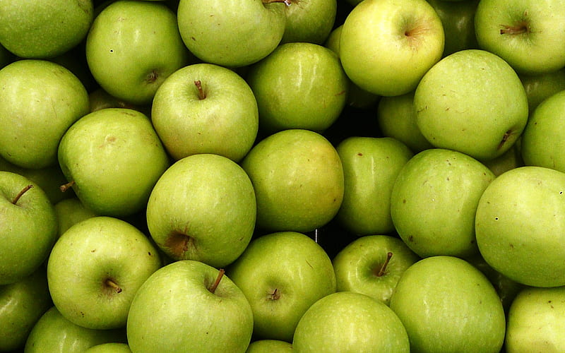 green apples, fruit, apple background, ripe apples, apple texture, HD wallpaper