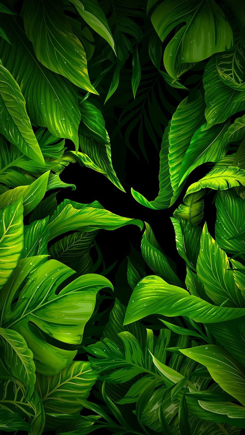 HD green leaves wallpapers | Peakpx