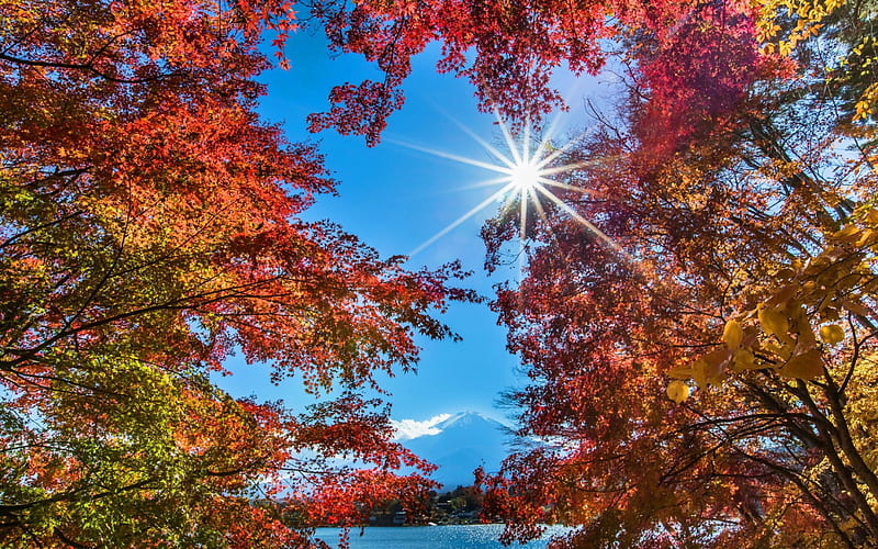 A beautiful sunny day at the lake, red, horizon, sun, sunlight, maples, trees, sky, lake, mountain, water, lightblue, bright, nature, HD wallpaper