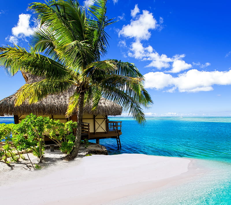 720P free download | Tropical Paradise, beach, blue, hut, ocean, palm ...