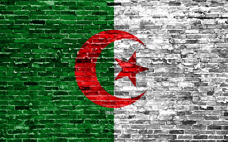Algerian flag, bricks texture, Africa, national symbols, Flag of Algeria, brickwall, Algeria 3D flag, African countries, Algeria, HD wallpaper