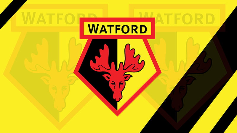 Soccer, Watford F.C., Logo , Soccer , Emblem, HD wallpaper
